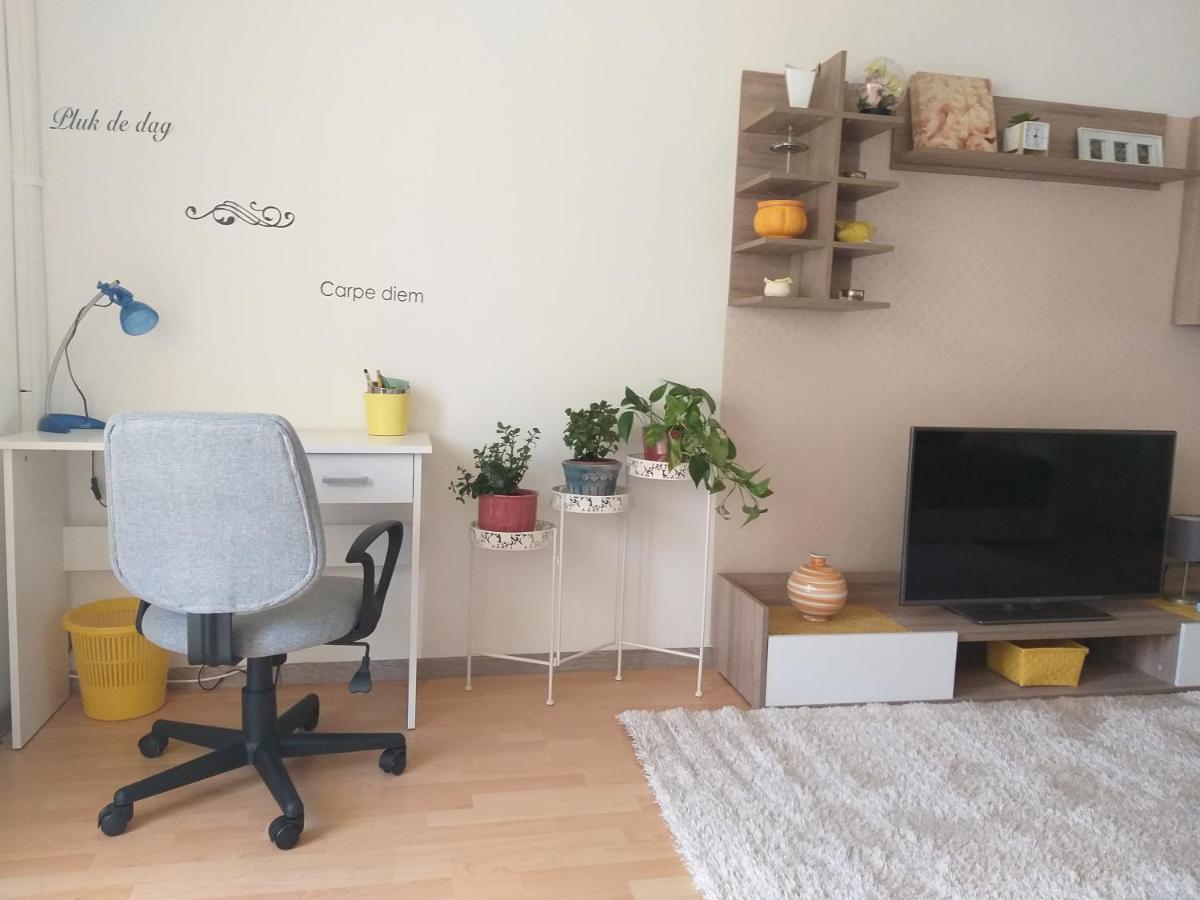 Simon Apartman Тисафюред Экстерьер фото